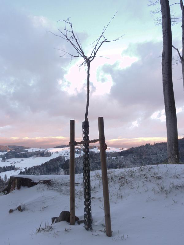 2010 12 11 A